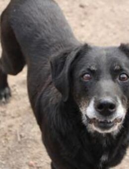 Jeff, ein älterer Herr - Hückelhoven