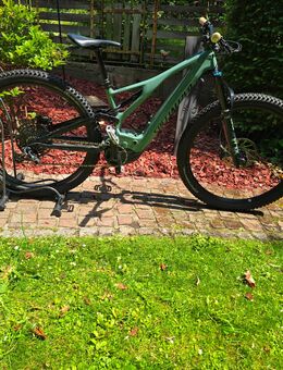 E-Bike Specialized Turbo Levo Expert Carbon 2021 - Siegburg