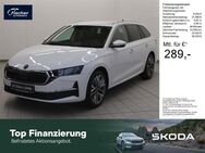 Skoda Octavia, 2.0 TDI Combi Tour, Jahr 2025 - Amberg