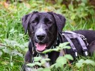 Bonny möchte mit dir in ein neues Leben - München