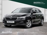 Skoda Scala, 1.0 TSI Ambition APP, Jahr 2023 - Neu Ulm