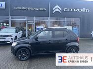 Suzuki Ignis, Comfort Allgrip, Jahr 2018 - Wetzlar