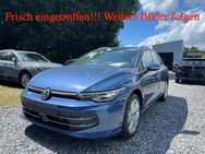 VW Golf, 1.5 l VIII Style eTSI OPF, Jahr 2024 - Herten