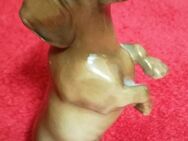 Dackel Porzellanfigur Hund Hutschenreuther (vor 1960) - Fürth