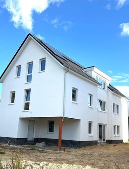 Tolle Neubauwohnung nahe der Innenstadt - Cloppenburg