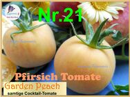 ♥ Pfirsich Tomate Garden Peach Samen samenfest Gemüse Tulpenstolz,alte Sorte,Rarität - Hamburg