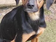 Delia sucht ihre Familie - Berlin