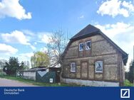 ... sucht neue Famiiie - Zerbst (Anhalt)