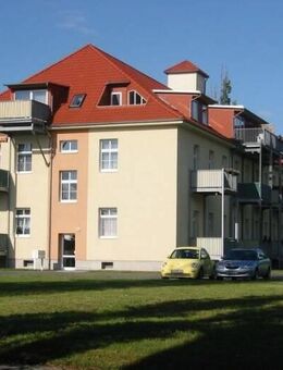 Schöne, helle 3-Zimmer-Wohnung im Erdgeschoss in ruhiger Wohnlage von Wittenberg zum Verkauf - Wittenberg (Lutherstadt)