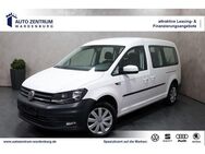 VW Caddy Maxi 2.0 TDI DSG 7-Sitzer STHZG SHZ TEMPO - Wardenburg