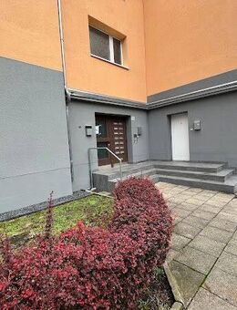 Stilvolle 3-Zimmer-EG-Wohnung in ruhiger Lage! - Essen