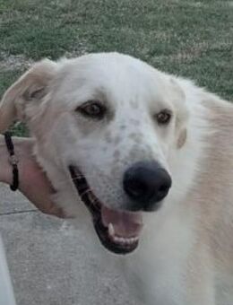 Phil - Sportsmann sucht seinesgleichen - Dingolfing