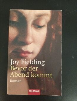 Bevor der Abend kommt von Joy Fielding (2003, Taschenbuch) - Essen
