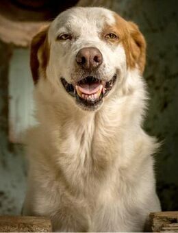 FLORO - lieber, zufriedener Schatz..... - Kempen