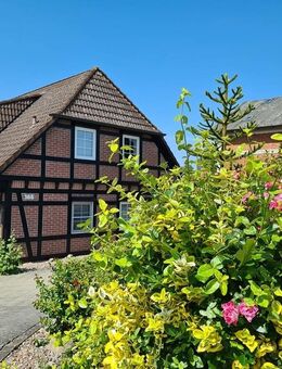 Fachwerkhaus am Elbdeich in angenehmer Nachbarschaft von Over! - Seevetal