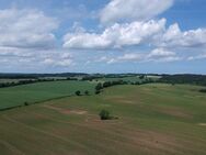 Grundstück fußläufig zum Stendorfer See und in direkter Feldrandlage - Kasseedorf