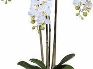 Kunstpflanze Mini Orchidee, Creativ green, Höhe 51 cm