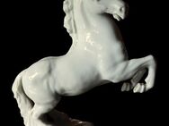 Feine herrliche Porzellanfigur ‚Steigendes Pferd‘ - Niederfischbach