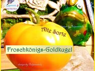 ♥ Bio Tomate Froschkönigs Goldkugel, Samen alte Sorte,Samenfest,Garten,Tulpenstolz,Gemüse,orange große - Hamburg