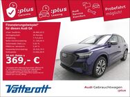 Audi Q4, 35 Panodach AVILOO 97 %, Jahr 2021 - Holzminden