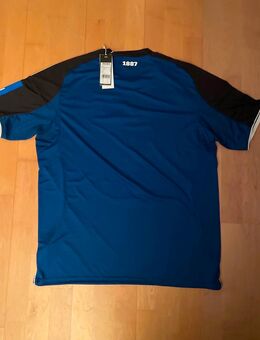 HSV auswärts Trikot 25/26 - Rendsburg