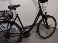 Stevens Damenfahrrad 28 Zoll 8 Gänge Top Zustand - Halle (Westfalen)