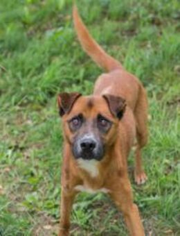 ABBI - interessante Spiele erleben - Overath