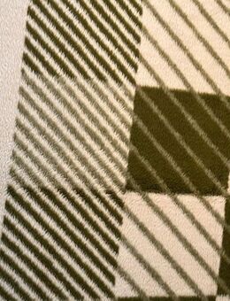 Flauschige Decke mit Strukturstoff gesucht (siehe Fotos) - Neuenkirchen (Landkreis Osnabrück)