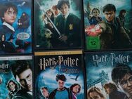 Harry Potter 6 DVD - Königswinter