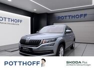 Skoda Kodiaq, 2.0 TSI Ambition ICC, Jahr 2019 - Hamm