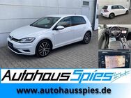 VW Golf, 2.0 TDI VII Join ParkAss EU6d-T, Jahr 2019 - Heilbronn