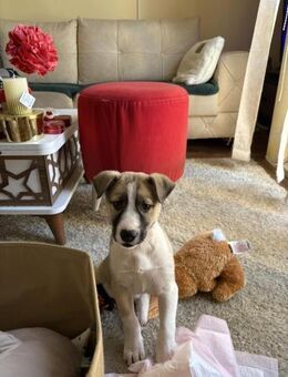 Lilly - sucht dich für Abenteuer - Philippsburg