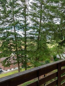 PANORAMABLICK INKLUSIVE IHR HEIM AM HANG - Lamspringe