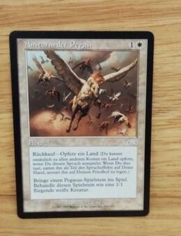 Magic The Gathering-Sammelkarte-Ansturm der Pegasi - Nörvenich