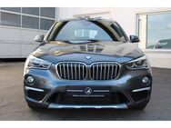 BMW X1 xD 25d Steptronic xLine LED NAVI AMBIENTE SHZ - Willmering