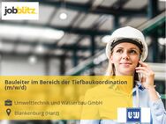 Bauleiter im Bereich der Tiefbaukoordination (m/w/d) - Blankenburg (Harz)