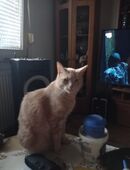 Zu verkaufen in 35576