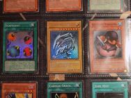 Yu-Gi-Oh! Karten „Blue-Eyes White Dragon“ + 8 weitere Karten - Kerpen (Kolpingstadt)