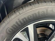 Neue Sommerreifen 4er Satz Continental EcoContact 6, 195/55 R 16 V, 87V - Rodgau