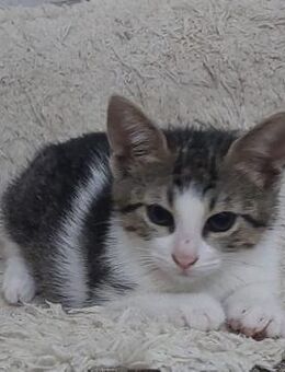 Taya - die volle Girlpower - Kirchheim (München)