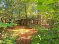 *#*OHNE PROVISION*#*TRAUMGRUNDSTÜCK IM WALD + KLEINES HAUS*NUR 30 MIN. BIS ELBBRÜCKEN *#* - Wenzendorf