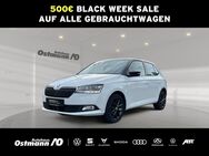 Skoda Fabia, Style 70kw, Jahr 2020 - Niestetal