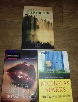 Robert Morgan-Gap Creek,Nora Roberts-Die riskante A. und Nicholas Sparks-Ein Tag wie ein Leben (Mängelexemplar)TB - Euskirchen