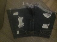 Damen Shorts - Bergisch Gladbach