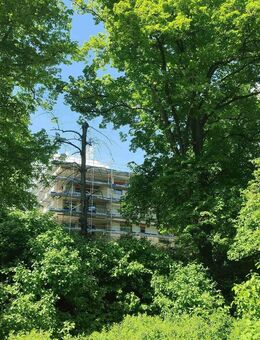 WOW!! Einzigartige Wohnung / 22m² Balkon / toller Ausblick in den Schlosspark / nur 350 m zum See - Senftenberg