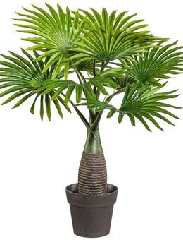 Kunstpalme Palme Mini Palme, Creativ green, Höhe 45 cm, im Kunststofftopf