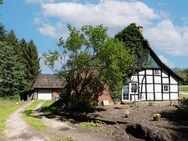 Charmantes Heuerlingshaus vor den Toren von Halle (Westfalen)! - Halle (Westfalen)