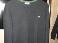 Lacoste Pullover aus Wolle,Gr. XL 6,top Zustand,Schwarz,Ovp 149,90€ - Brunsbüttel