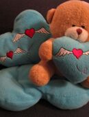 Teddy Plüschtier in 85258