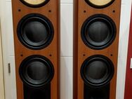 Bang & Olufsen Beovision 14-55 LCD - Berlin